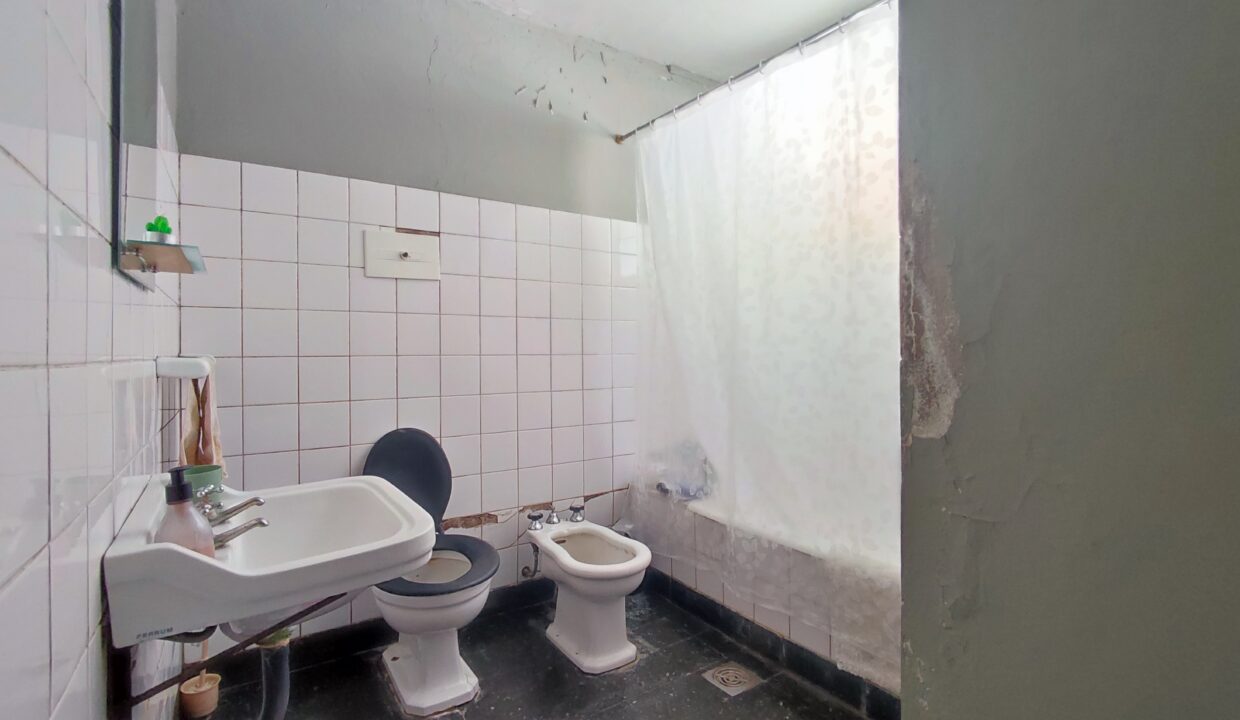 IMG_20250120_130342 - copia