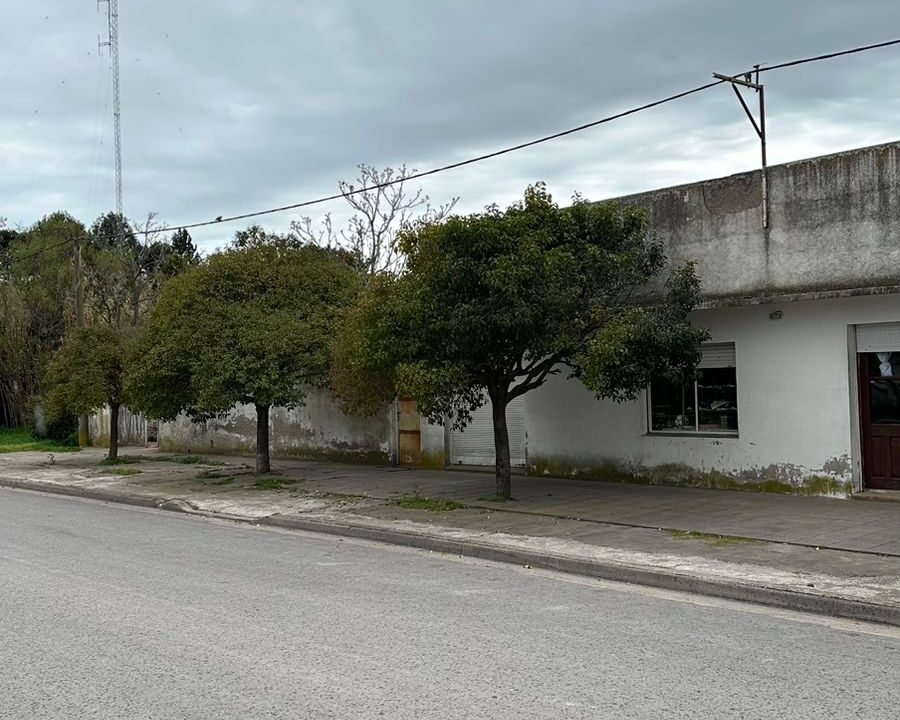 WhatsApp Image 2024-09-25 at 11.42.20 (2)