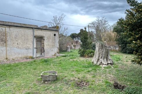 WhatsApp Image 2024-09-25 at 11.42.24