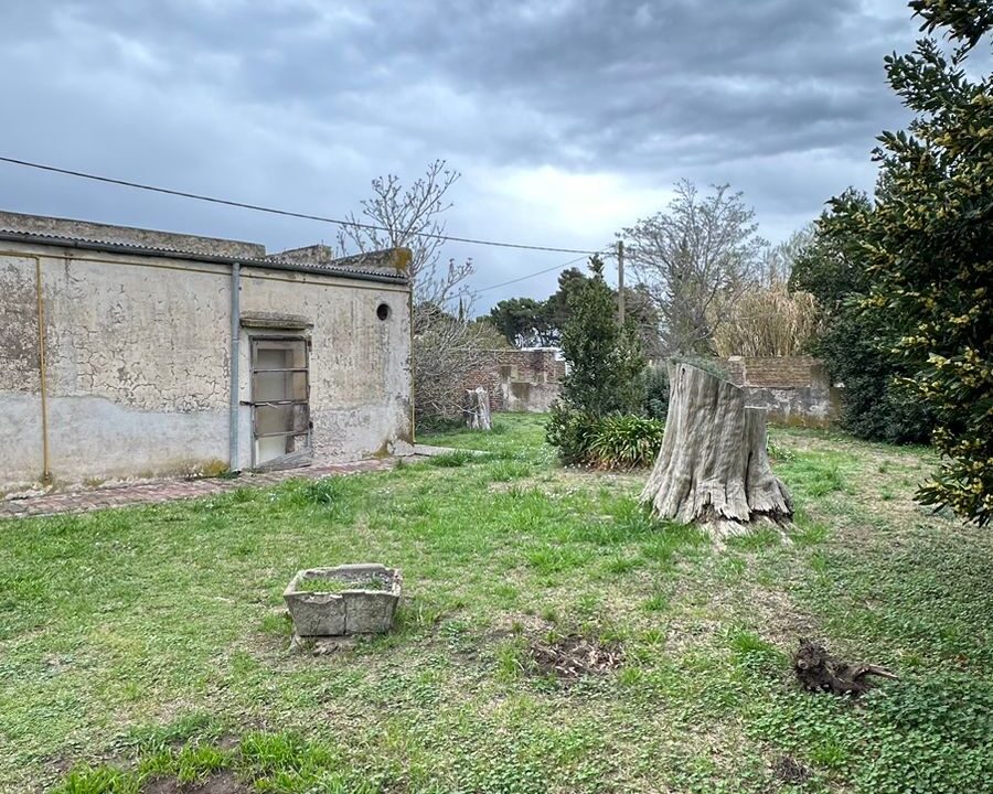 WhatsApp Image 2024-09-25 at 11.42.24