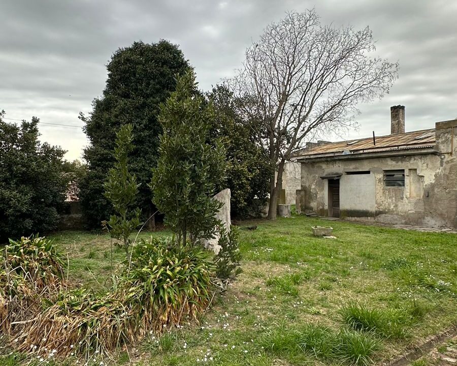 WhatsApp Image 2024-09-25 at 11.42.27 (2)