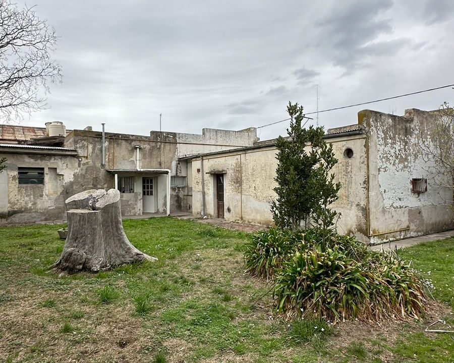 WhatsApp Image 2024-09-25 at 11.42.27