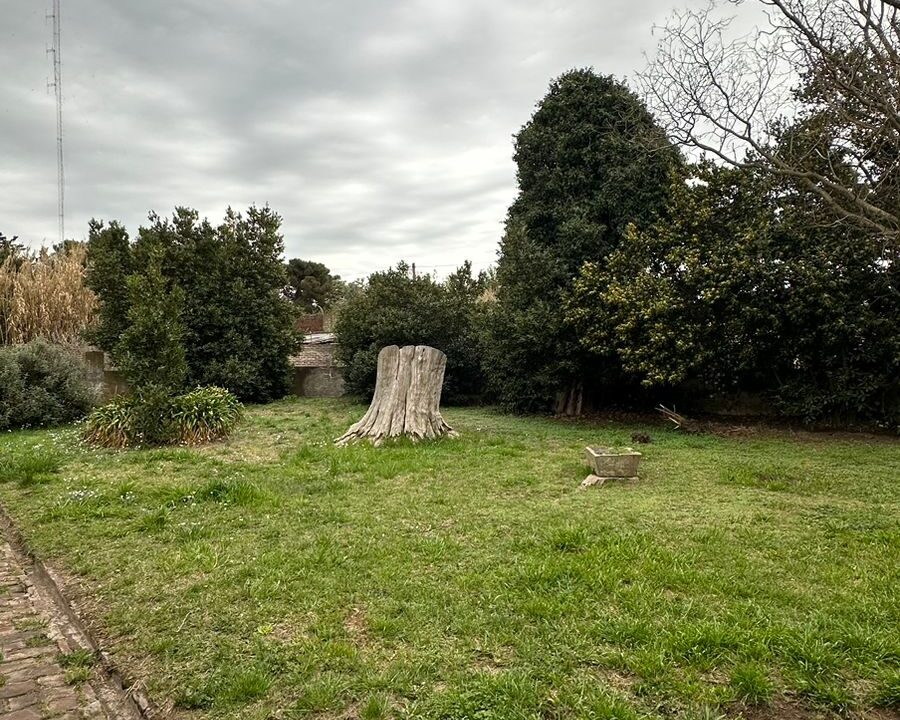 WhatsApp Image 2024-09-25 at 11.42.30 (1)