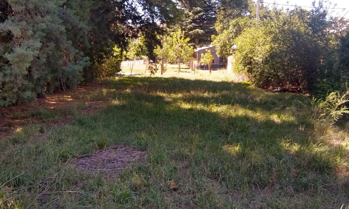 WhatsApp Image 2025-05-17 at 09.07.22 (1)