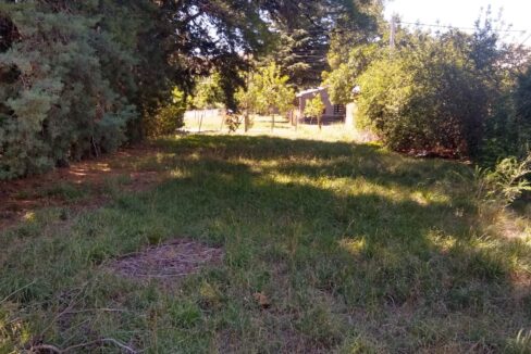 WhatsApp Image 2025-05-17 at 09.07.22 (1)