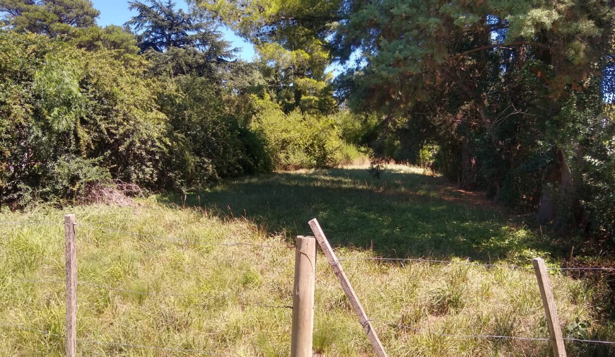 WhatsApp Image 2025-05-17 at 09.07.22