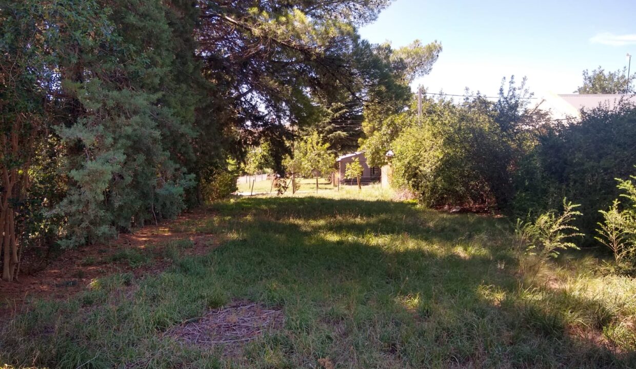 WhatsApp Image 2025-05-17 at 09.07.22 (2)