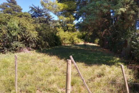 WhatsApp Image 2025-05-17 at 09.07.22