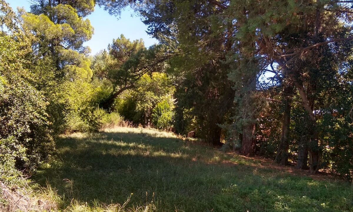 WhatsApp Image 2025-05-17 at 09.07.23