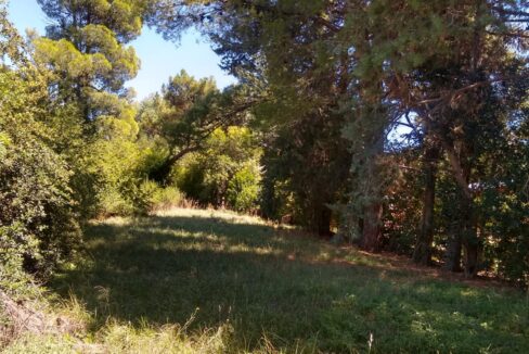 WhatsApp Image 2025-05-17 at 09.07.23